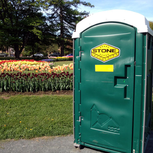 Stone Standard Portable Toilet in a field of flowers